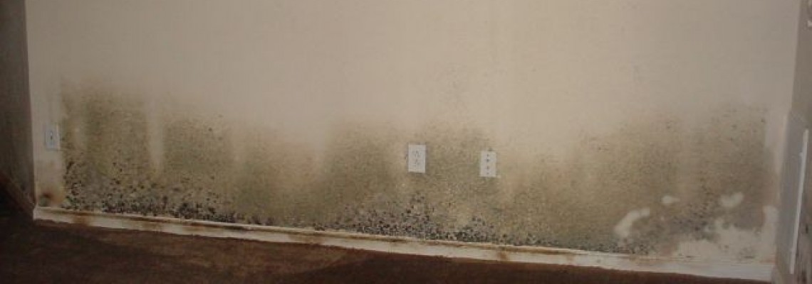 Hatékony, ha a penész ellen házilag lépünk fel?