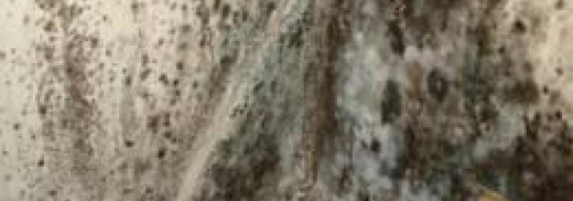 Miért alakul ki a penész a lakásban, és mit tudunk tenni ellene?